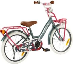 2Cycle Desire Kinderfiets - 18 Inch - Voordrager - Grijs - Meisjesfiets 10 2Cycle Desire Kinderfiets - 18 Inch - Voordrager - Grijs - Meisjesfiets -Volare Shop 1200x1049 2