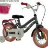 2Cycle Pretty - Kinderfiets - 12 Inch - Grijs-Roze - Meisjesfiets 2 2Cycle Pretty - Kinderfiets - 12 Inch - Grijs-Roze - Meisjesfiets -Volare Shop 1200x1072 2