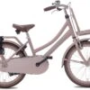 Valetta Cargo - Transportfiets - Meisjesfiets - 20 Inch - Mat Flamingo -Volare Shop 1200x821 4