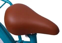 Amigo Bloom Meisjesfiets - Kinderfiets 20 Inch - Turquoise -Volare Shop 1200x834 5