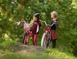 Amigo Bloom Meisjesfiets - Kinderfiets 20 Inch - Turquoise -Volare Shop 1200x917 33