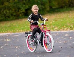 Amigo Bloom Meisjesfiets - Kinderfiets 20 Inch - Turquoise -Volare Shop 1200x917 34